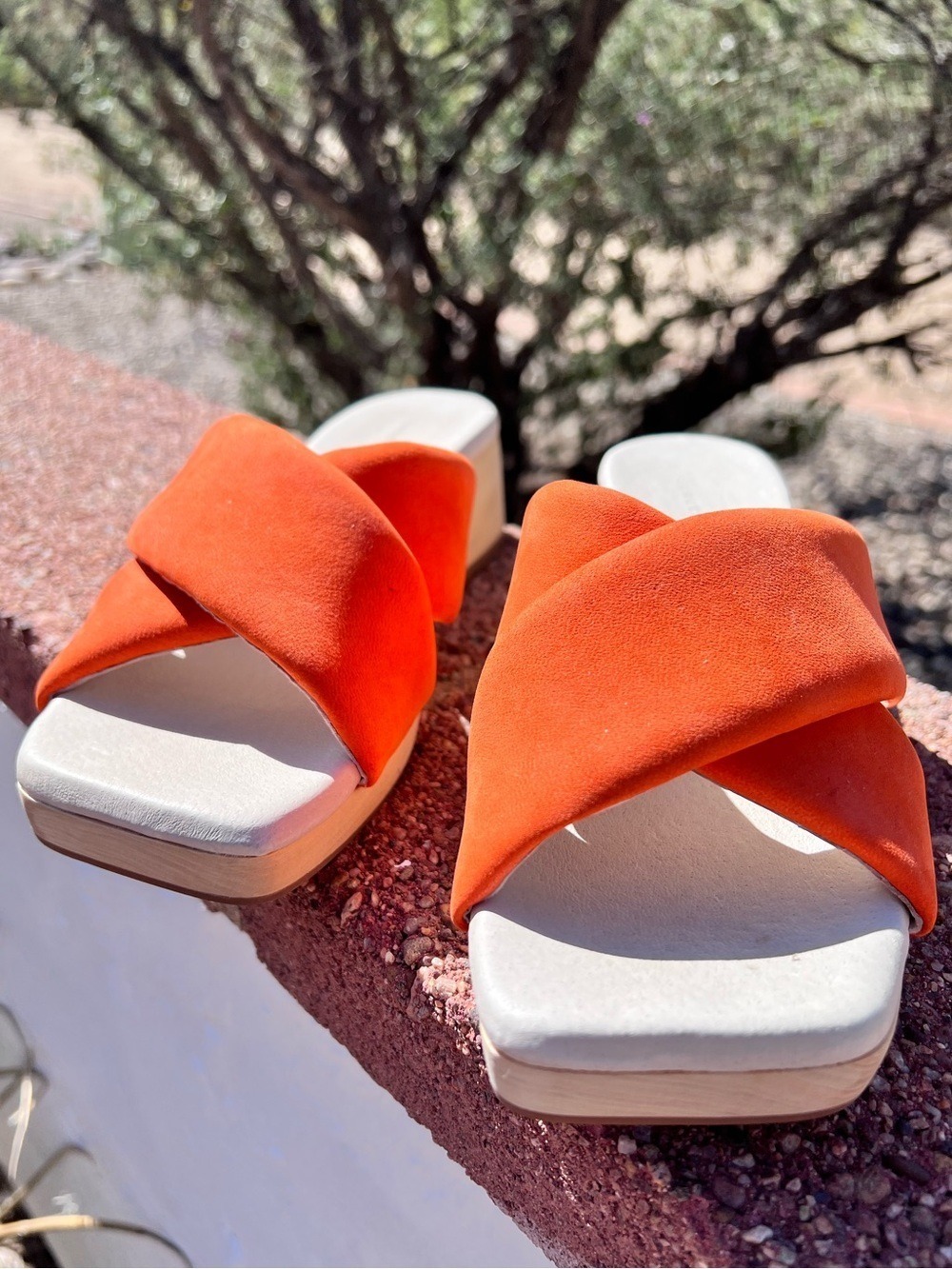 NWOB $119 Sanctuary Lively slide sandals in a bold tangerine orange.